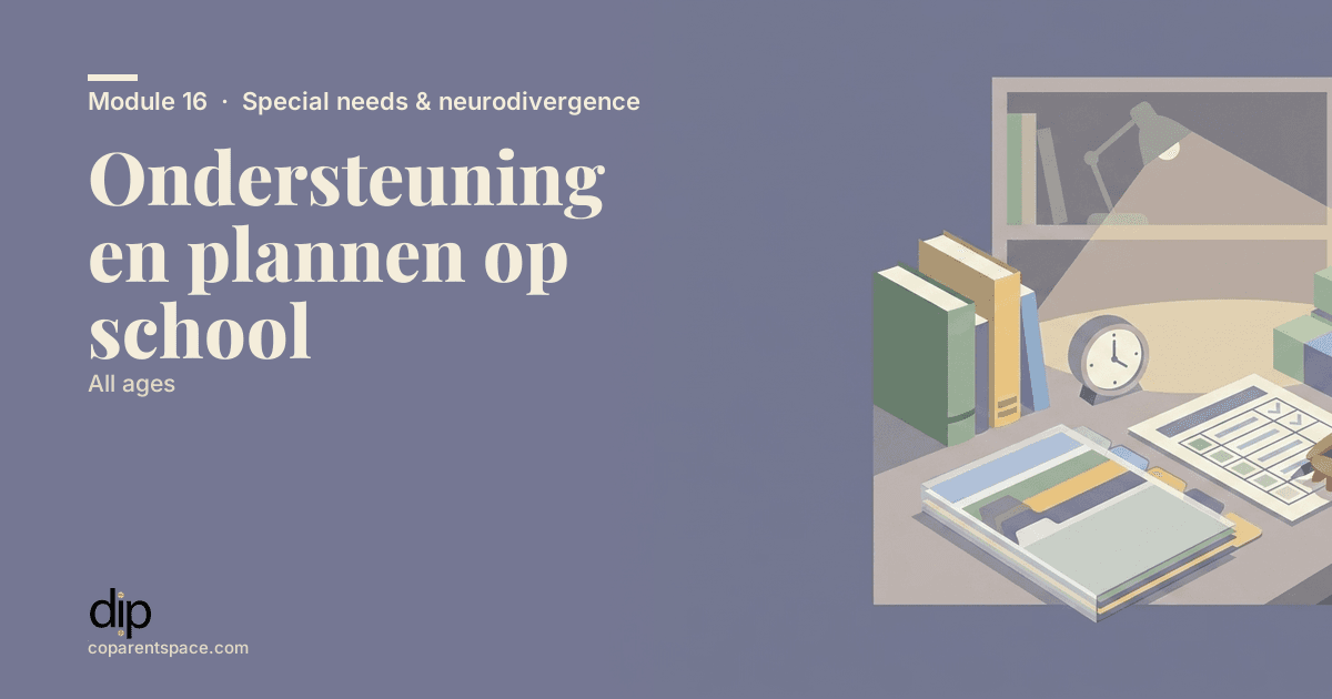 Ondersteuning en plannen op school